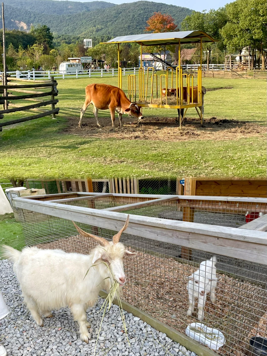 今天当一天农场主??湖州 趣农场