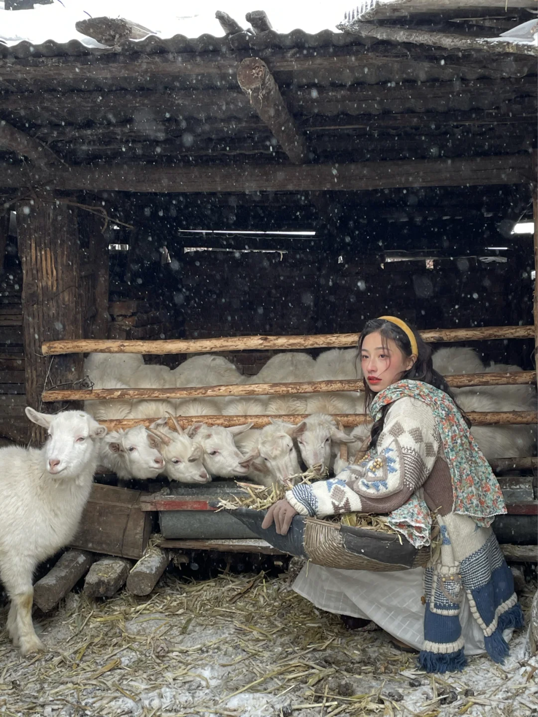 在中国俄罗斯分斯放羊?我是长发牧羊女??