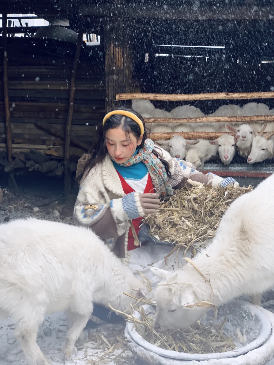 在中国俄罗斯分斯放羊?我是长发牧羊女??