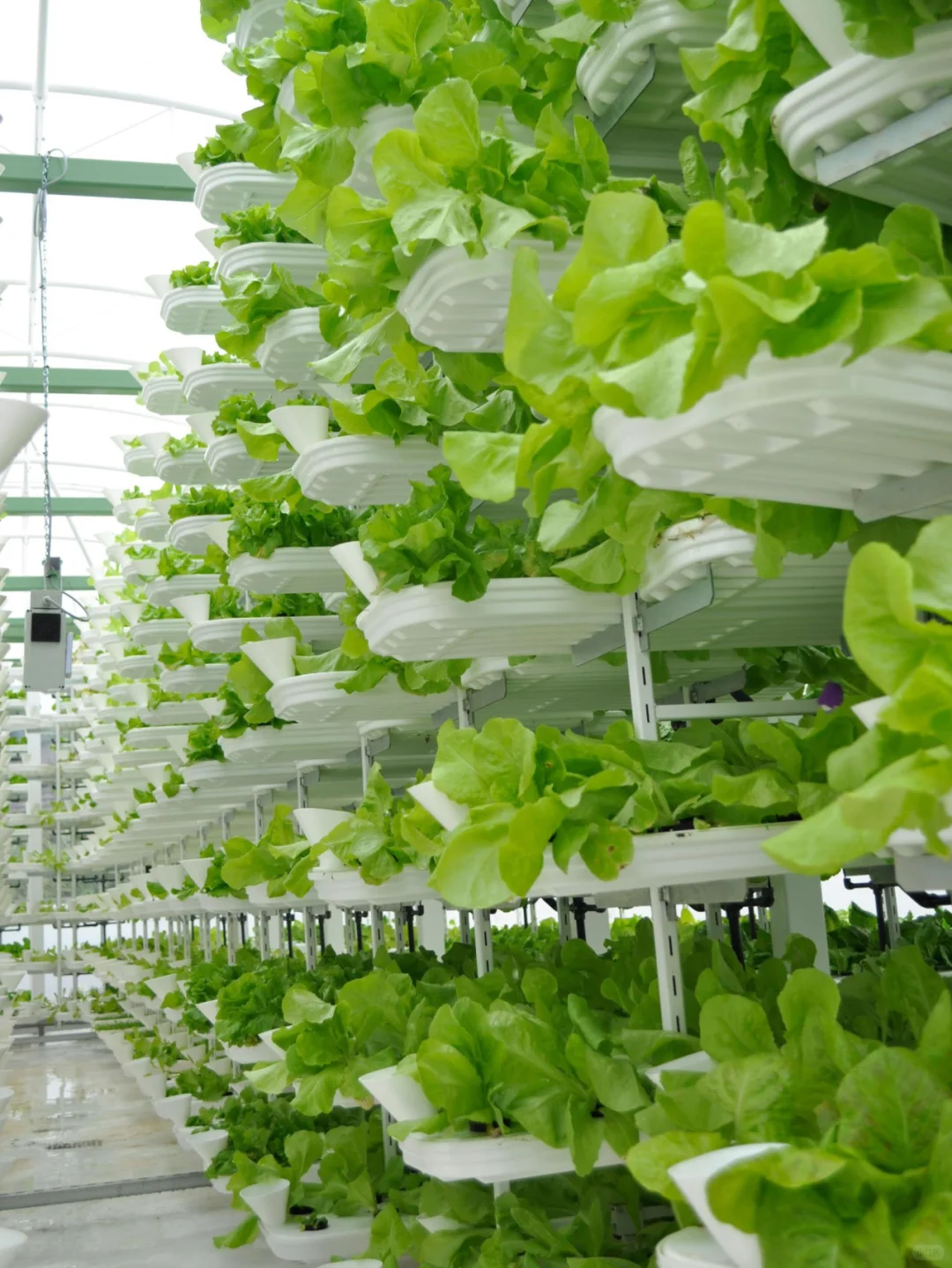 立体种植,植物工厂