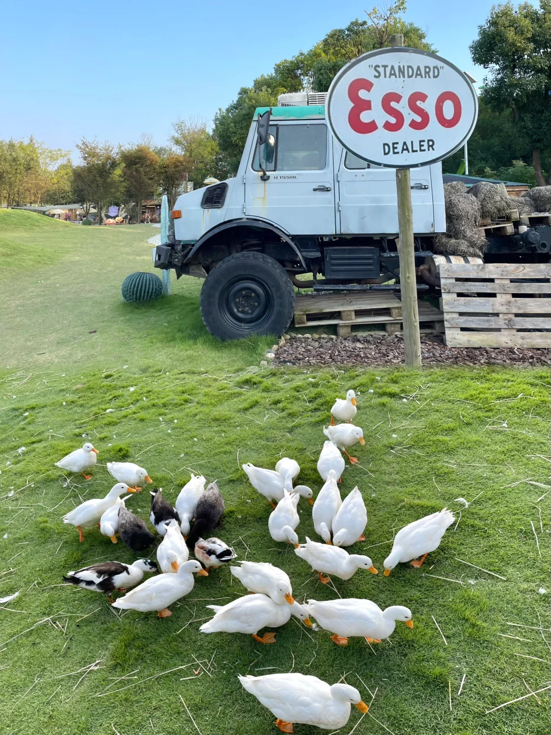 今天当一天农场主??湖州 趣农场