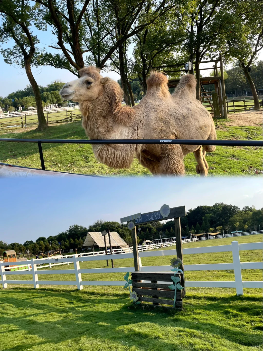 今天当一天农场主??湖州 趣农场