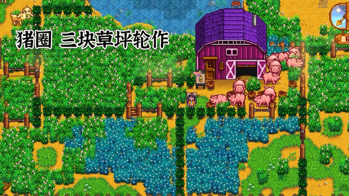 星露谷无mod装修动物篇