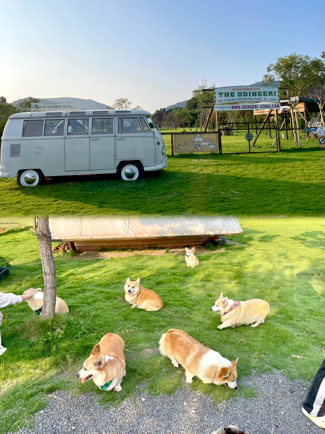 今天当一天农场主??湖州 趣农场