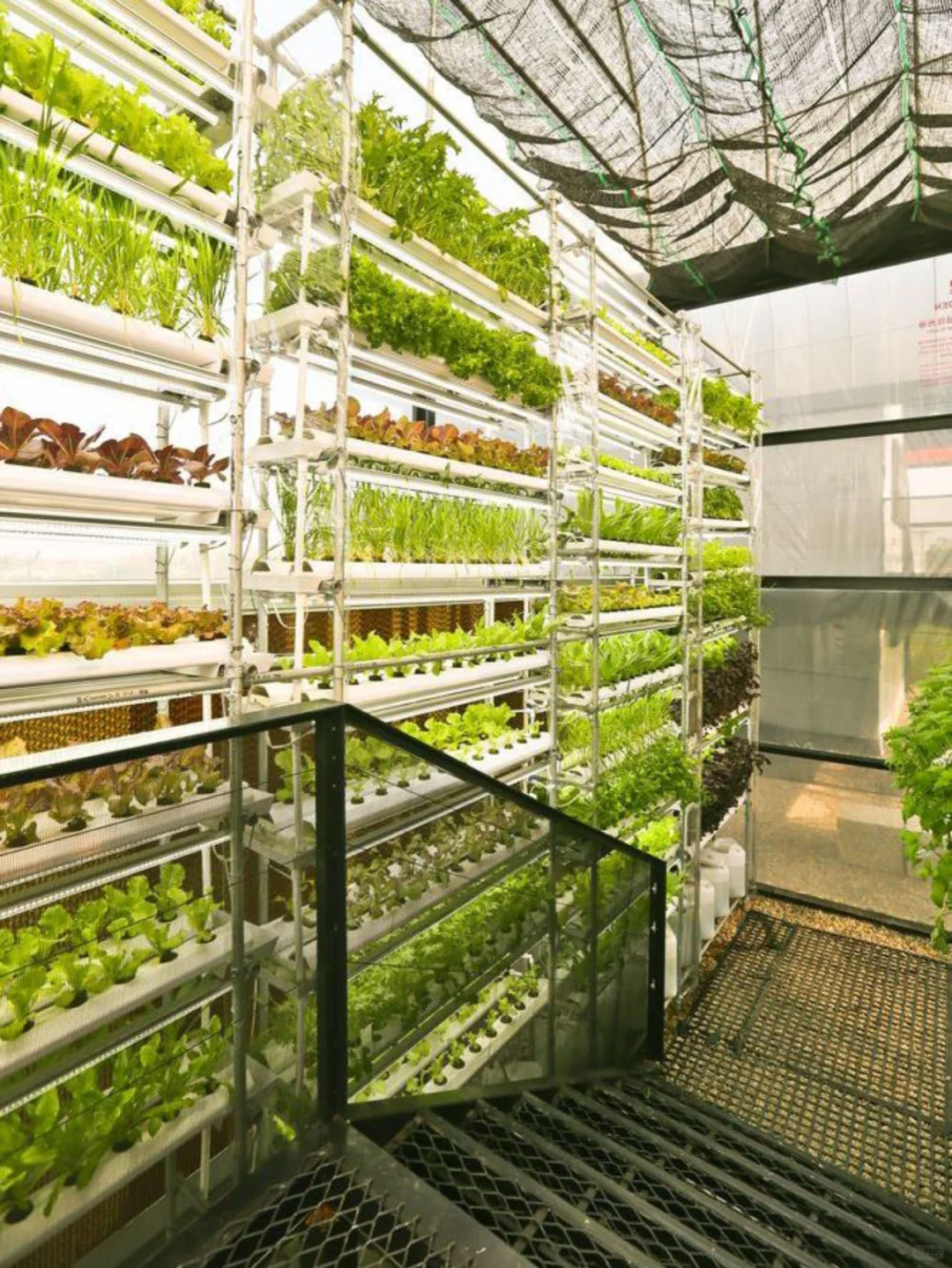 立体种植,植物工厂
