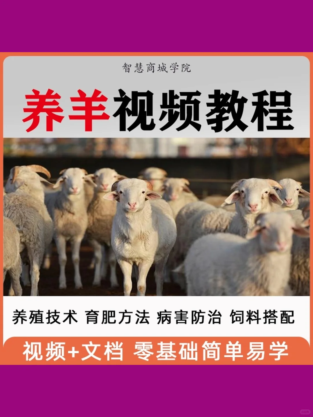 山羊绵羊肉羊病防治饲养养殖技术大全视频教