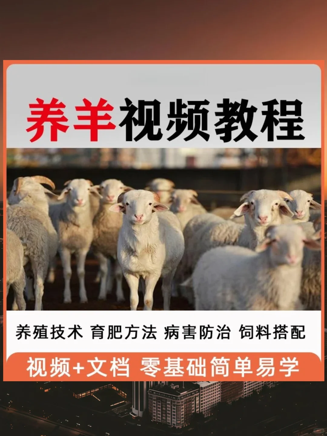 养羊技术视频教程,山羊绵羊肉羊病防治资料