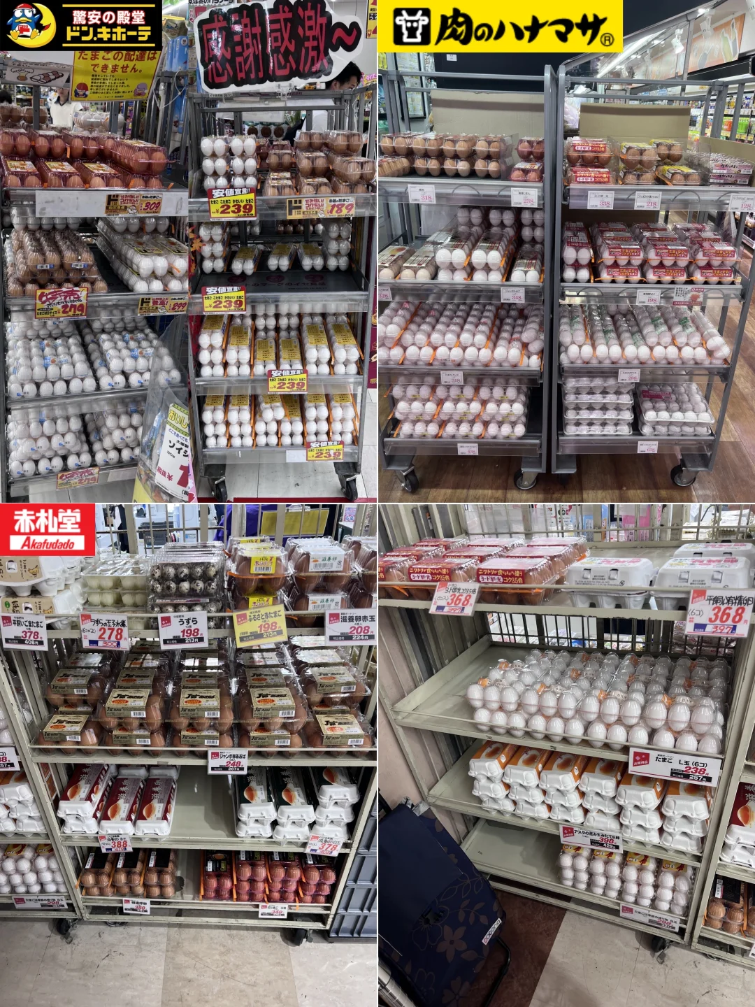 日本超市选鸡蛋(附价格对比及口感评测)