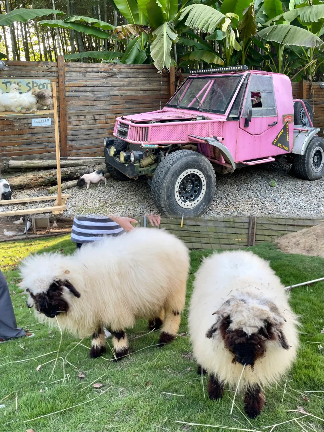 今天当一天农场主??湖州 趣农场