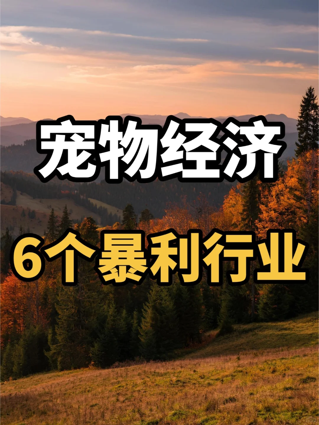 宠物经济,你不知道的 6 个暴利行业??