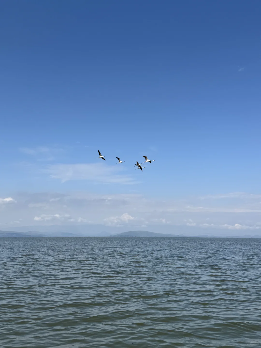 女生solo肯尼亚 遇到的朋友们