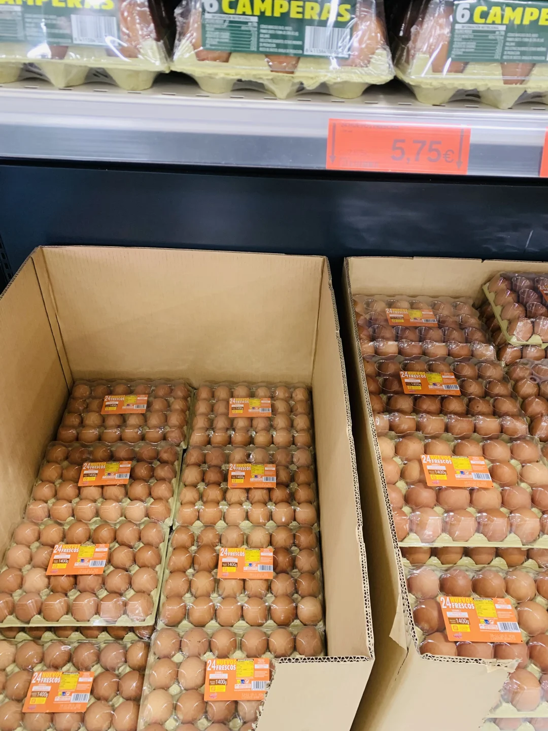 ??吃不起的鸡蛋