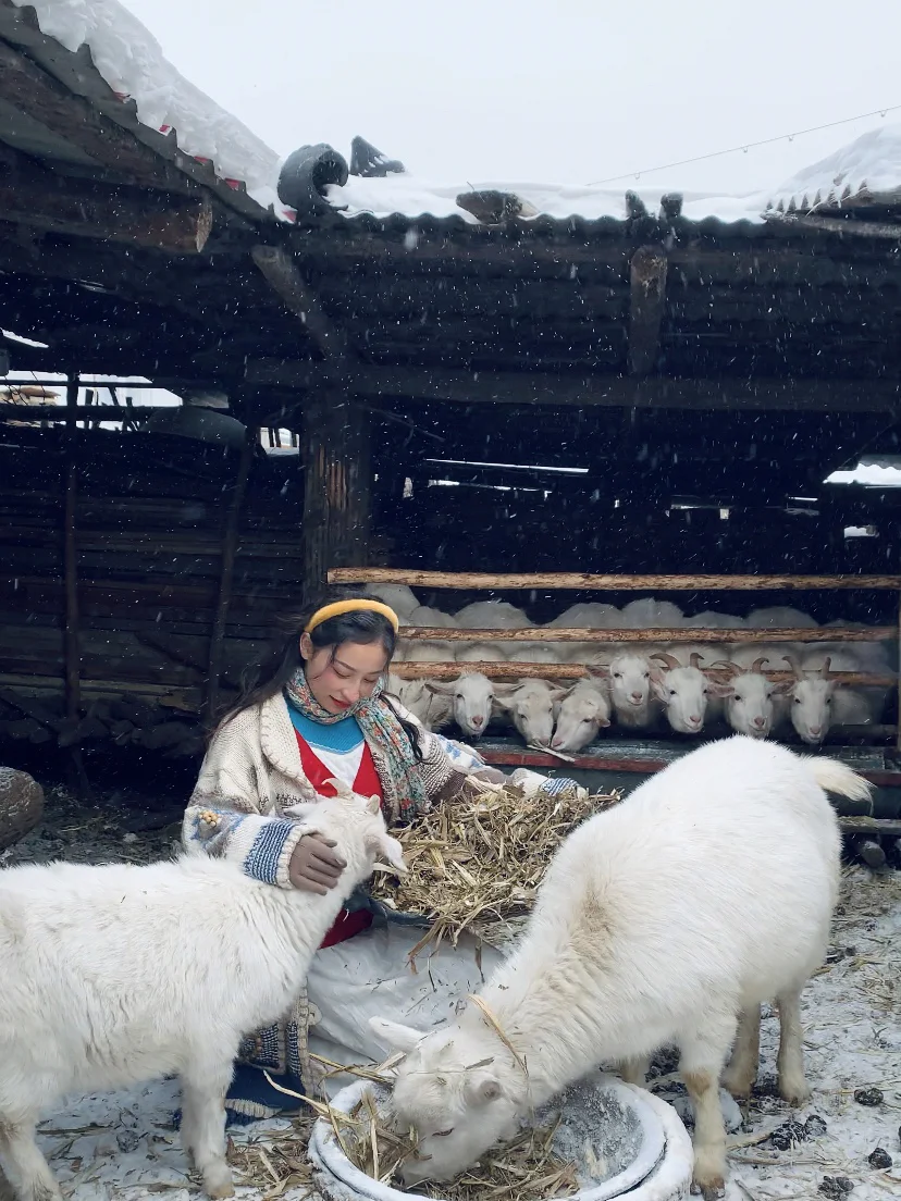 在中国俄罗斯分斯放羊?我是长发牧羊女??
