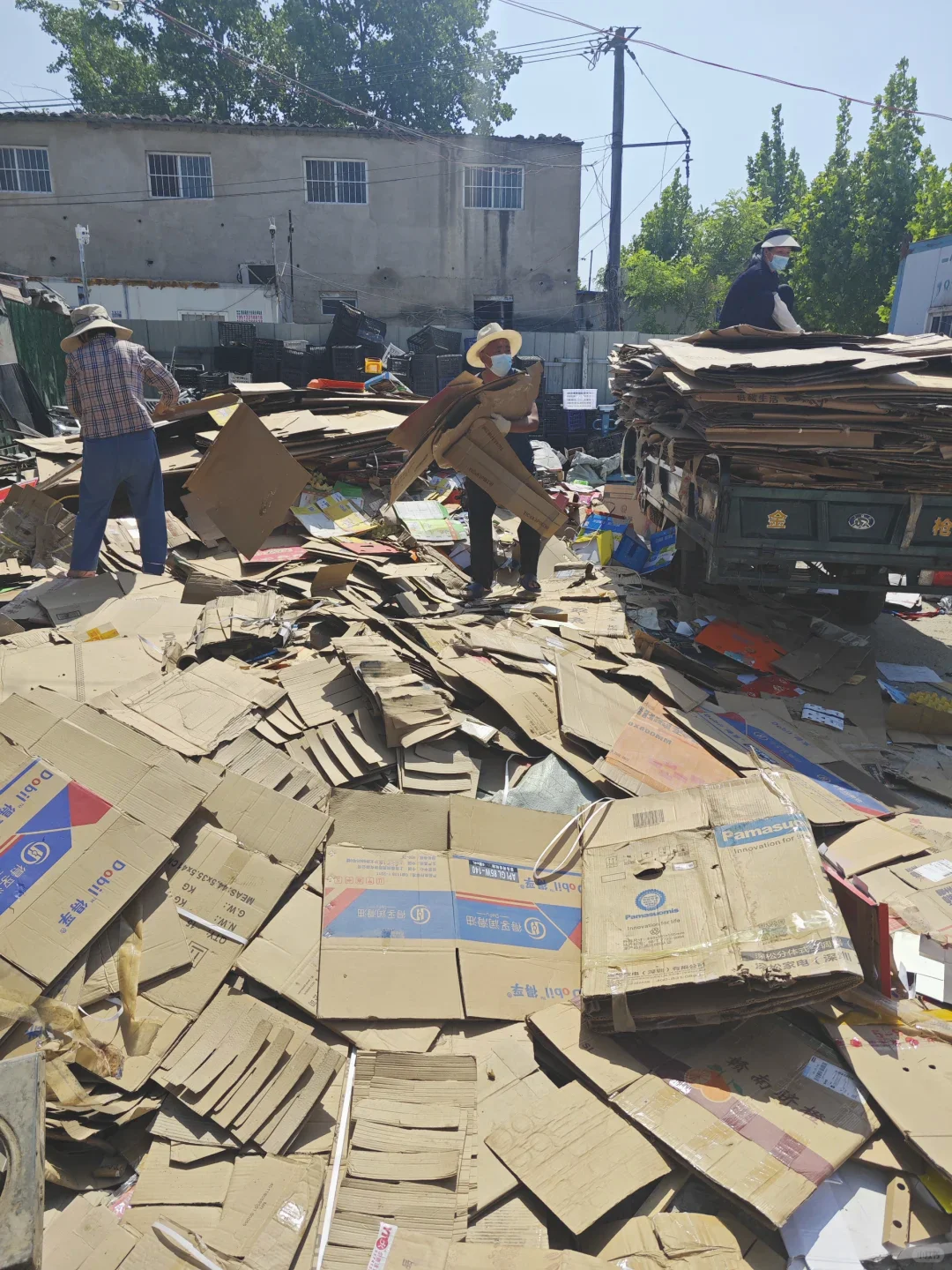 创业收废品一个月,总结