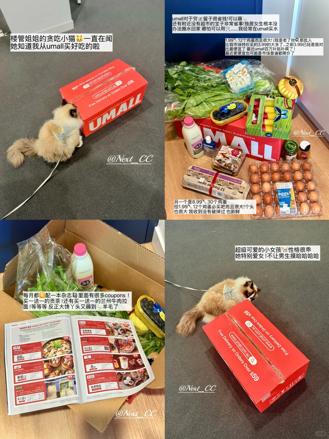 ??留子穷鬼日记!关于我2?买12个鸡蛋的事