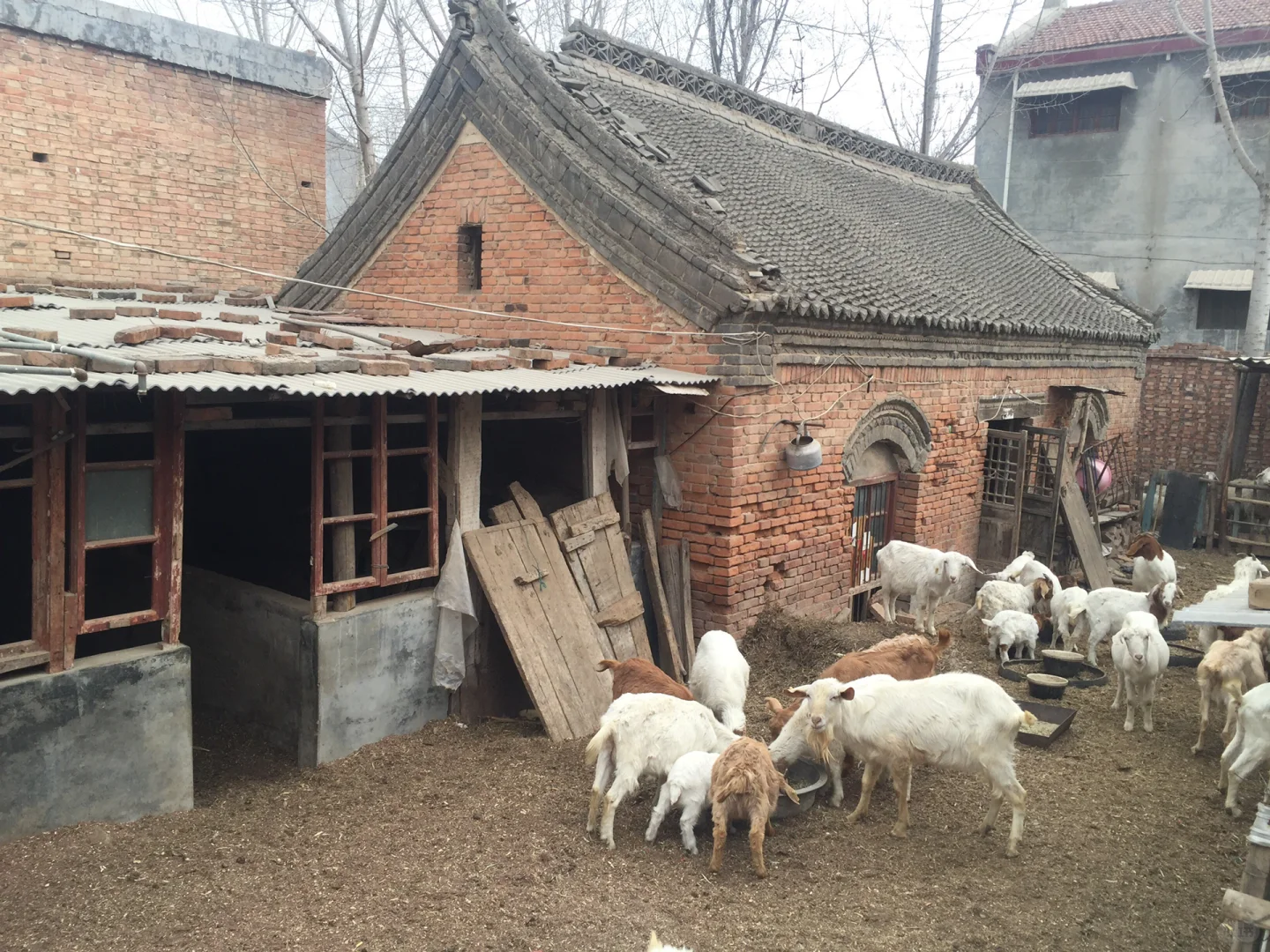 ֣ݻƺ̲ɽⲻ̲Բݼʮֻ