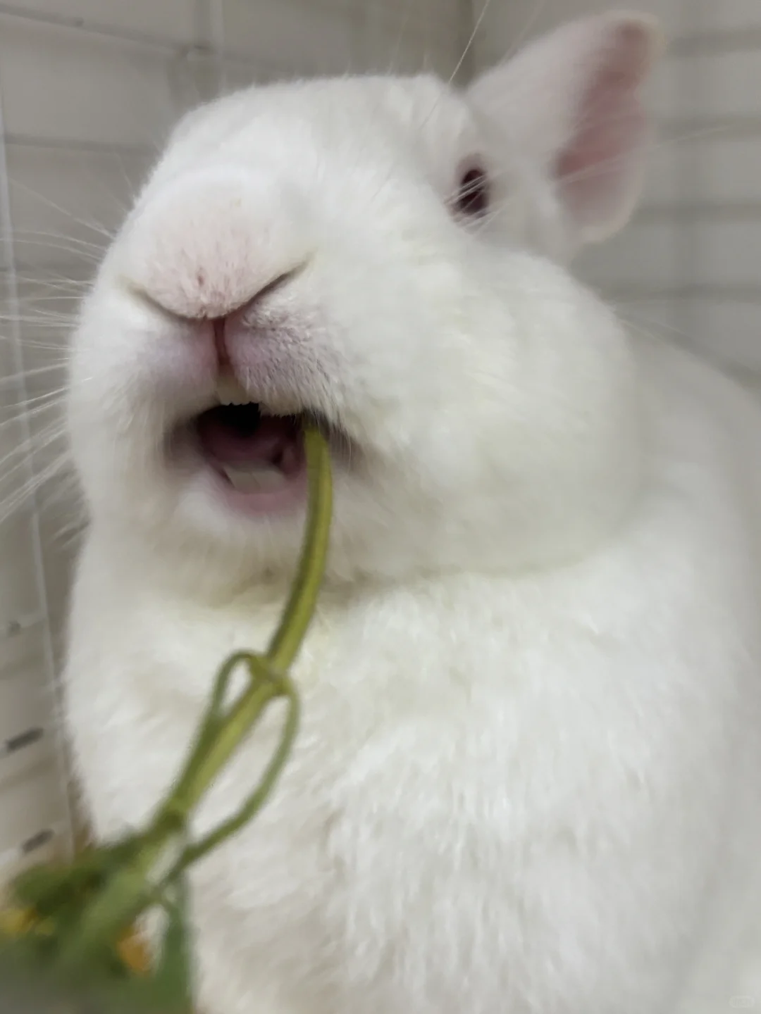 ���ý������� �����ʱ�����