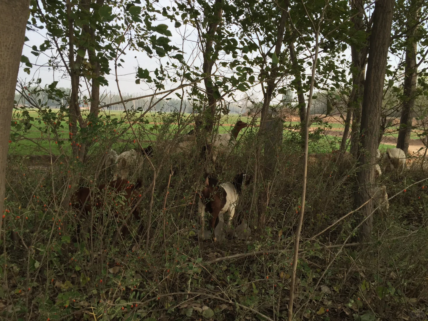 ֣ݻƺ̲ɽⲻ̲Բݼʮֻ