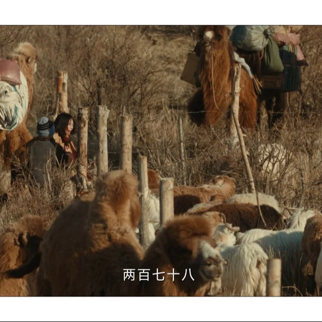 巴太家家底有多厚?