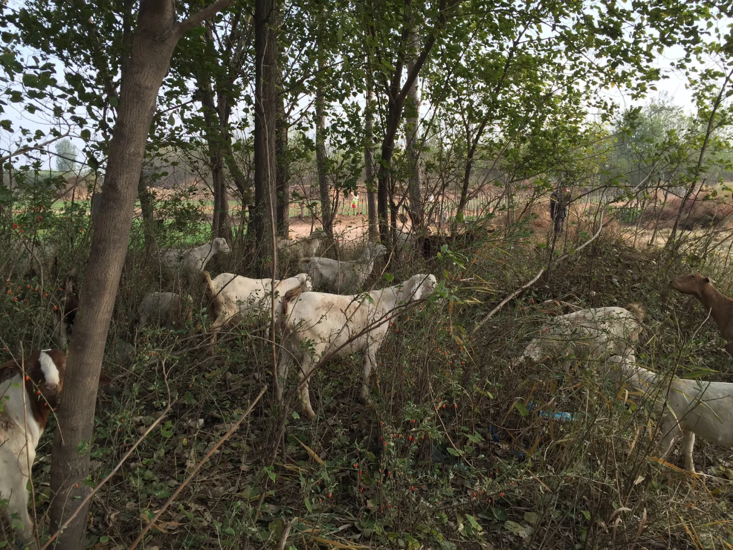 ֣ݻƺ̲ɽⲻ̲Բݼʮֻ