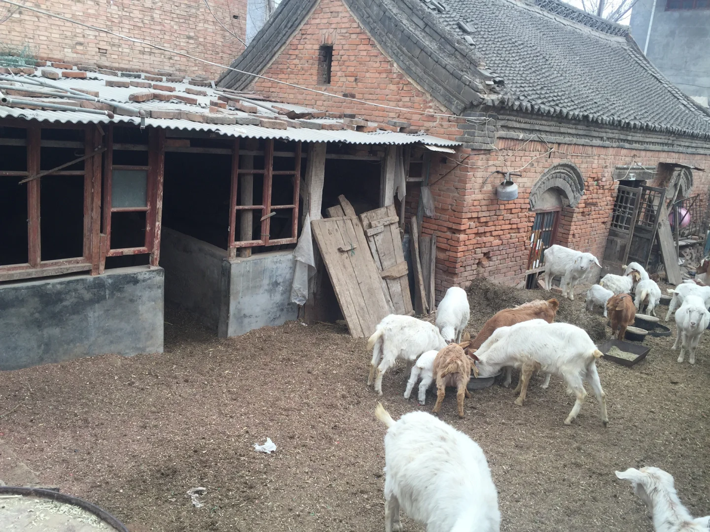 ֣ݻƺ̲ɽⲻ̲Բݼʮֻ