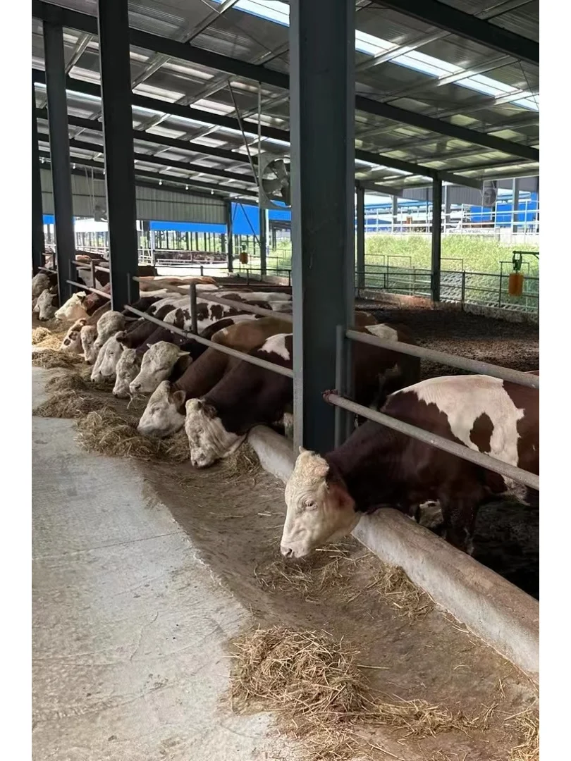 牧光互补开发说明 2