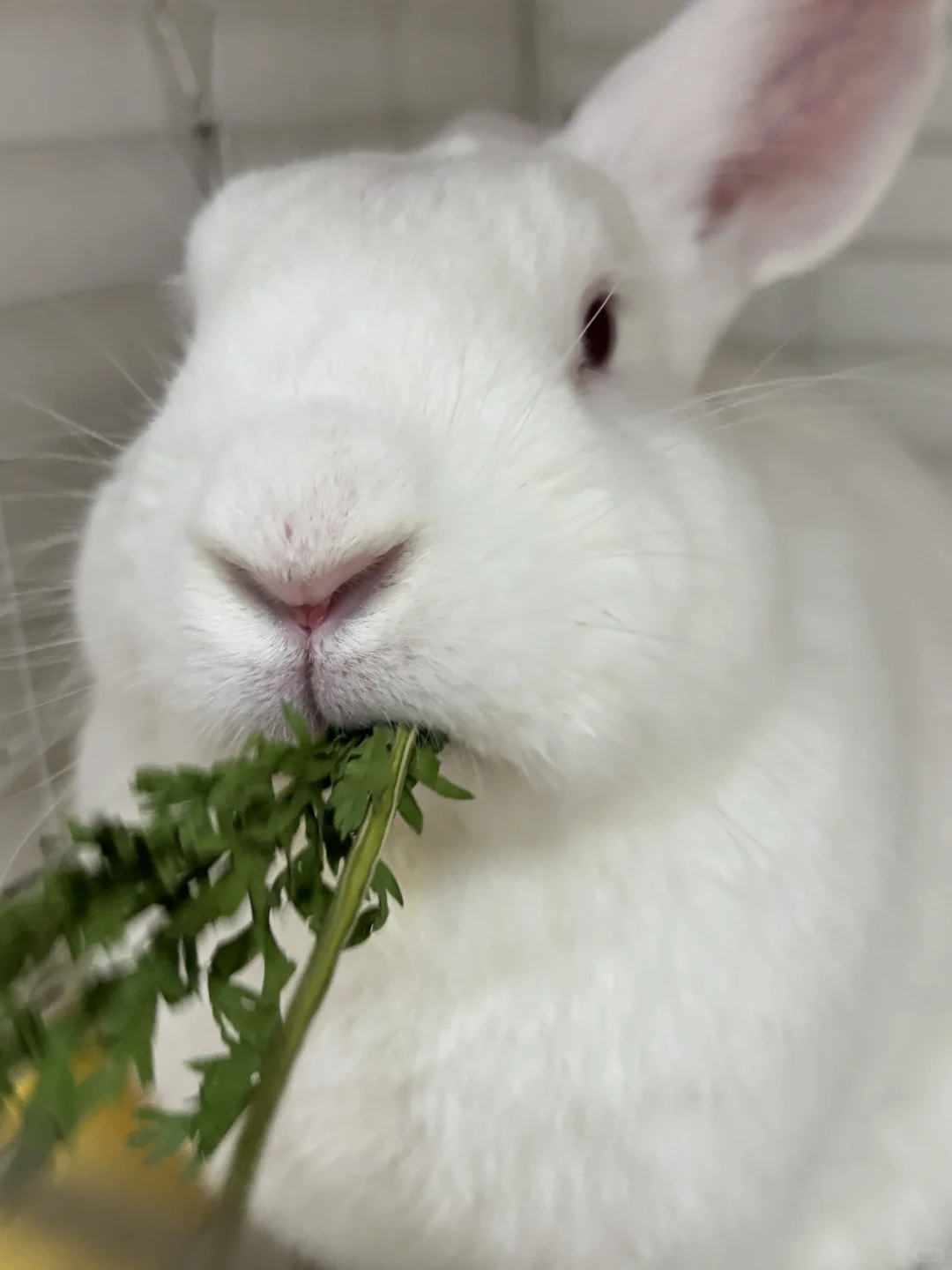 ���ý������� �����ʱ�����