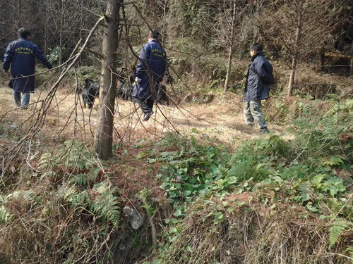 踏入养羊行业真的那么美好吗?