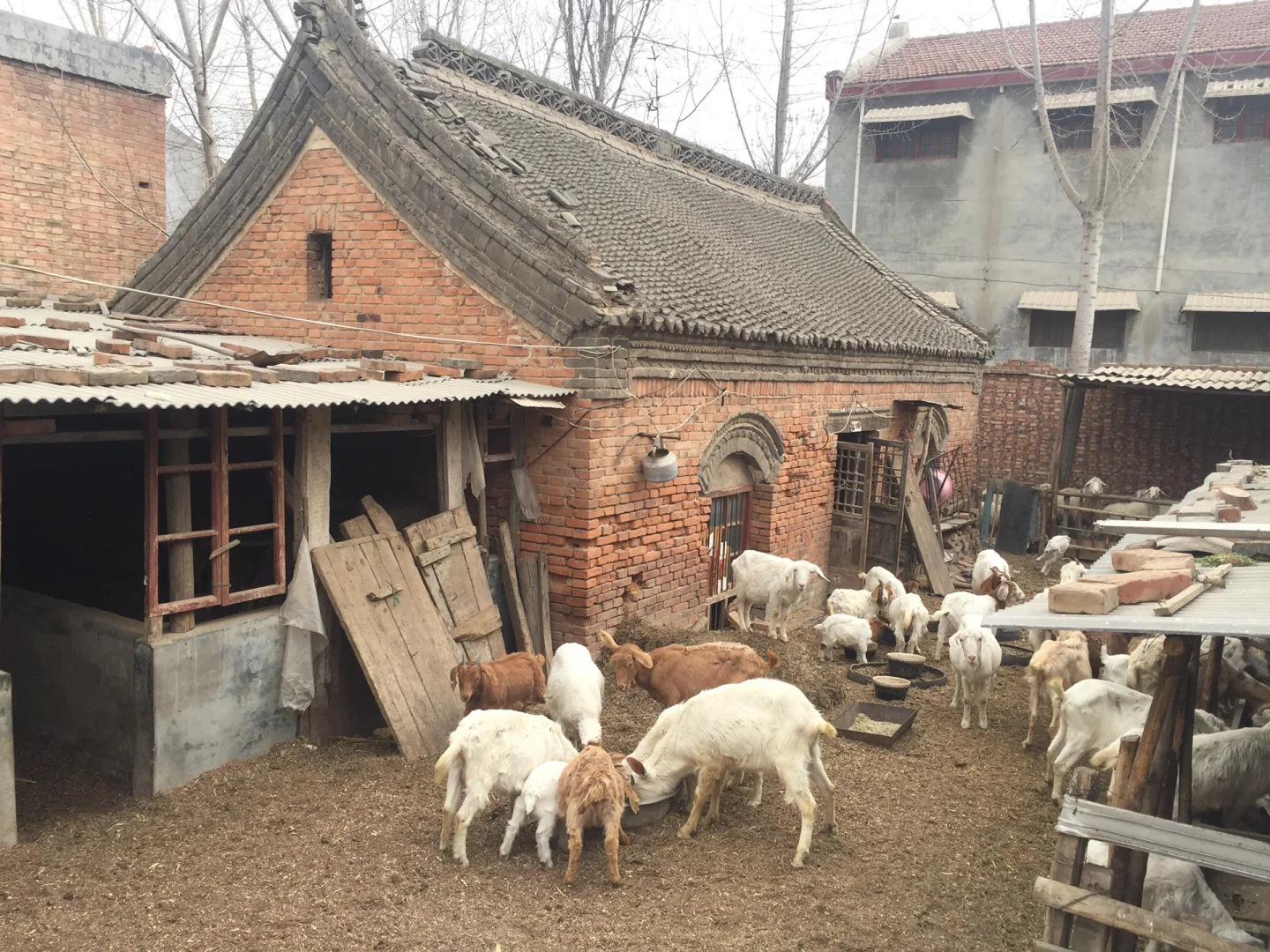 ֣ݻƺ̲ɽⲻ̲Բݼʮֻ