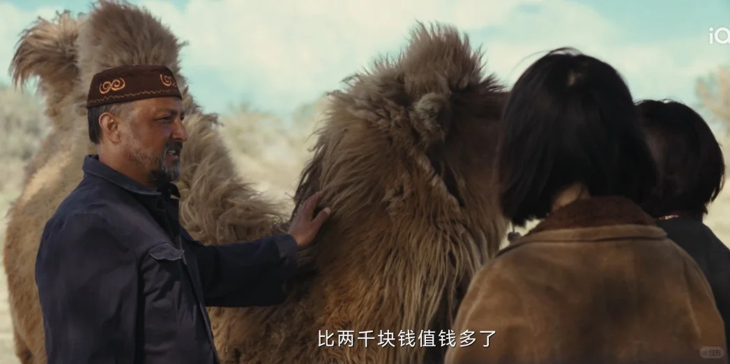 巴太家家底有多厚?