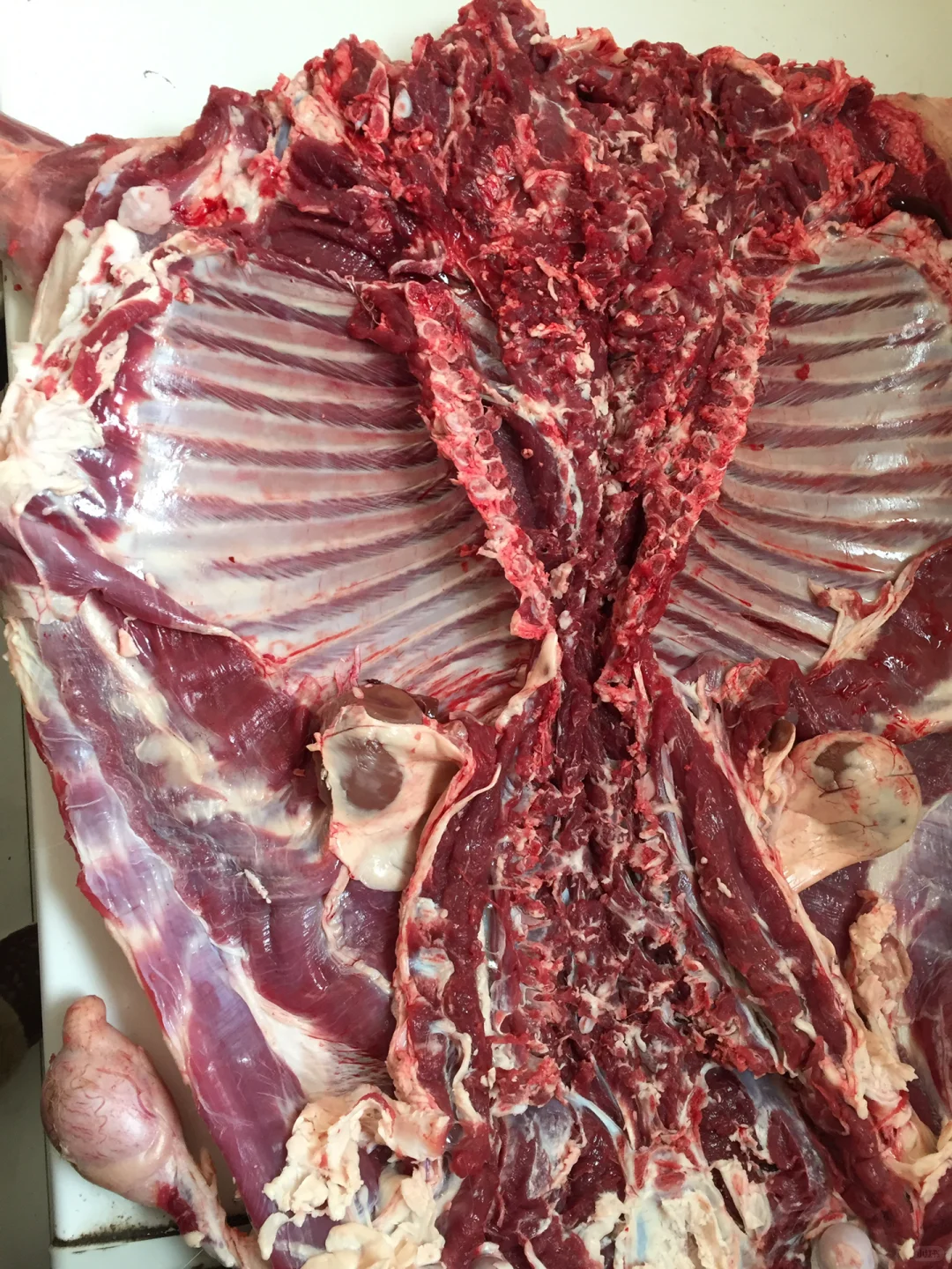 ֣ݻƺ̲ɽⲻ̲Բݼʮֻ