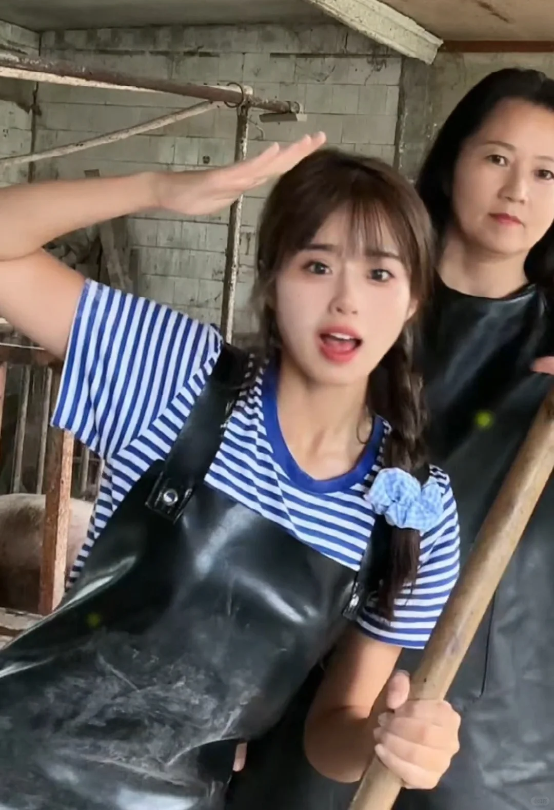 �����ս���������������¿�׬20��ı���