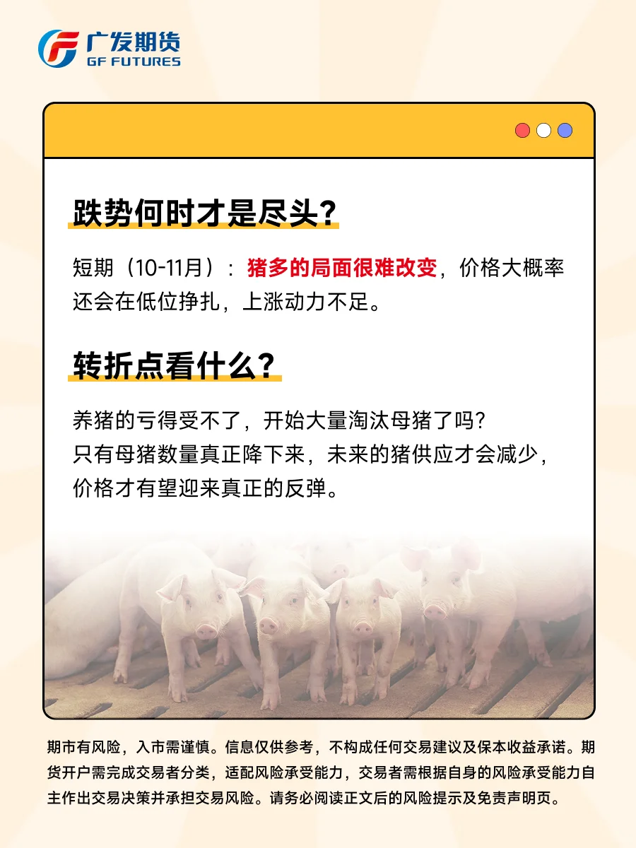 生猪市场“跌”声一片,何时是尽头?