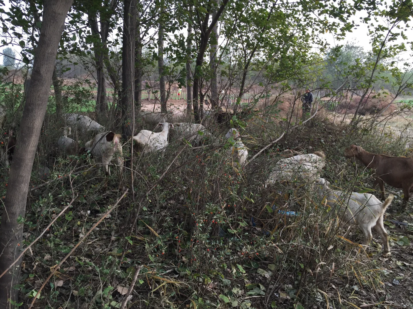 ֣ݻƺ̲ɽⲻ̲Բݼʮֻ