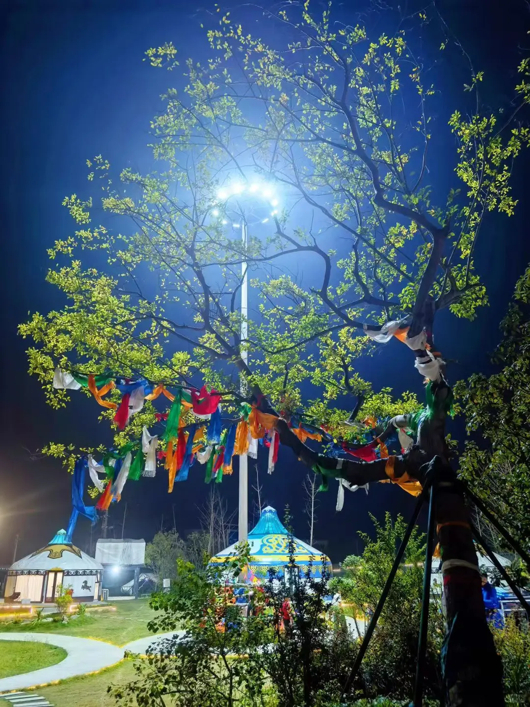 慈溪首家蒙古包特色餐厅10.18日正式开业啦