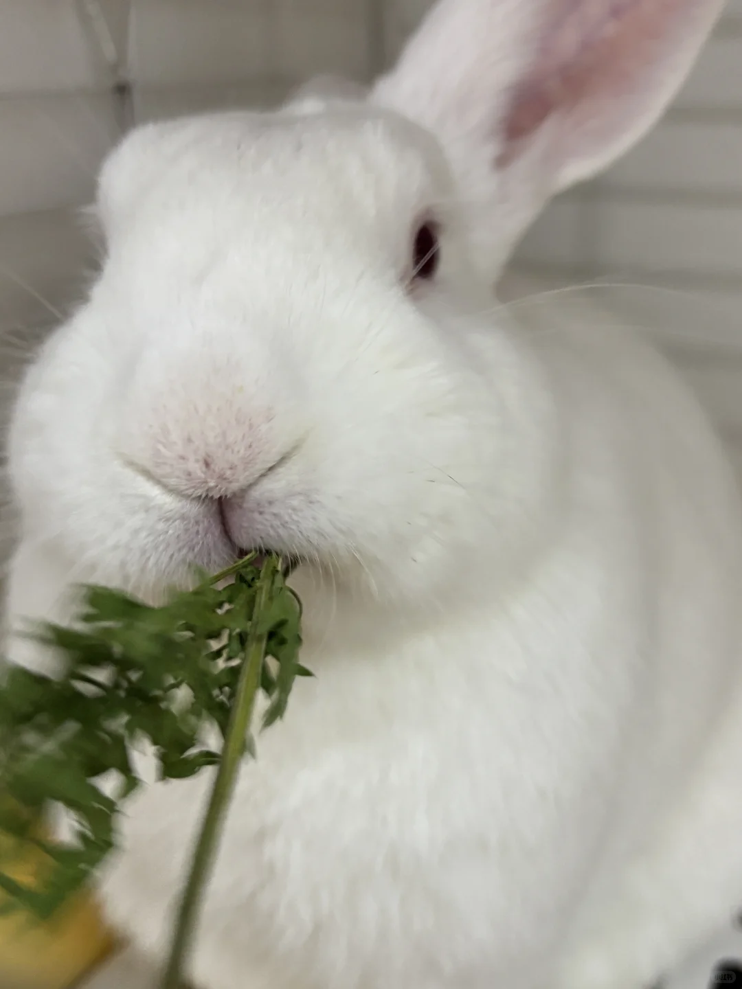 ���ý������� �����ʱ�����