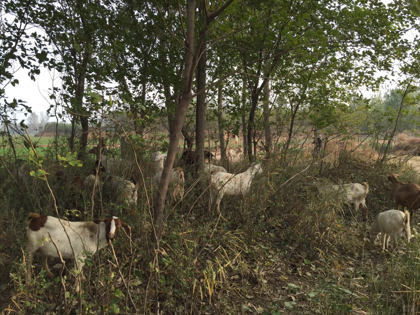 ֣ݻƺ̲ɽⲻ̲Բݼʮֻ