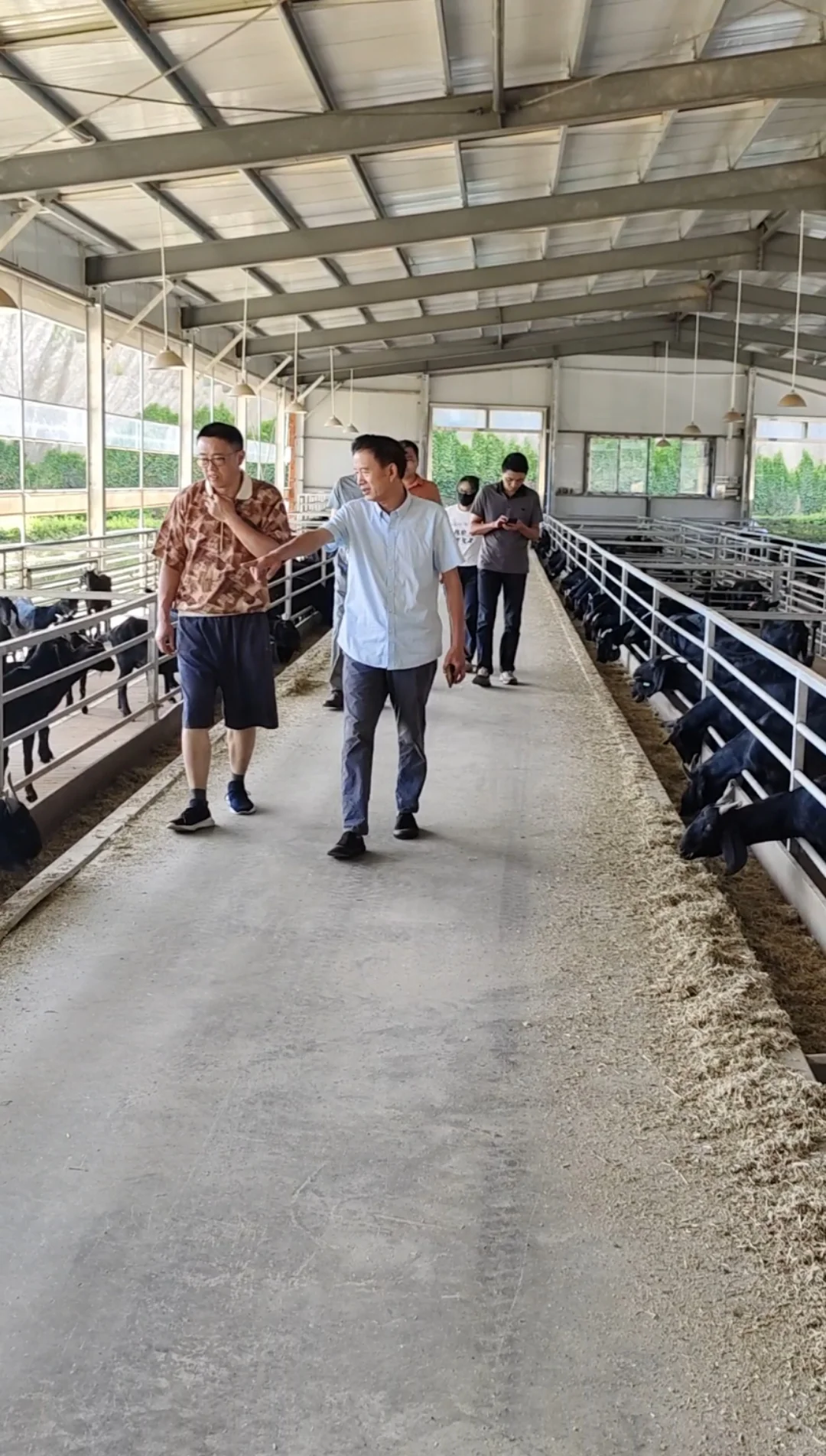 !!身价几个亿的老板来大业牧业参观啦