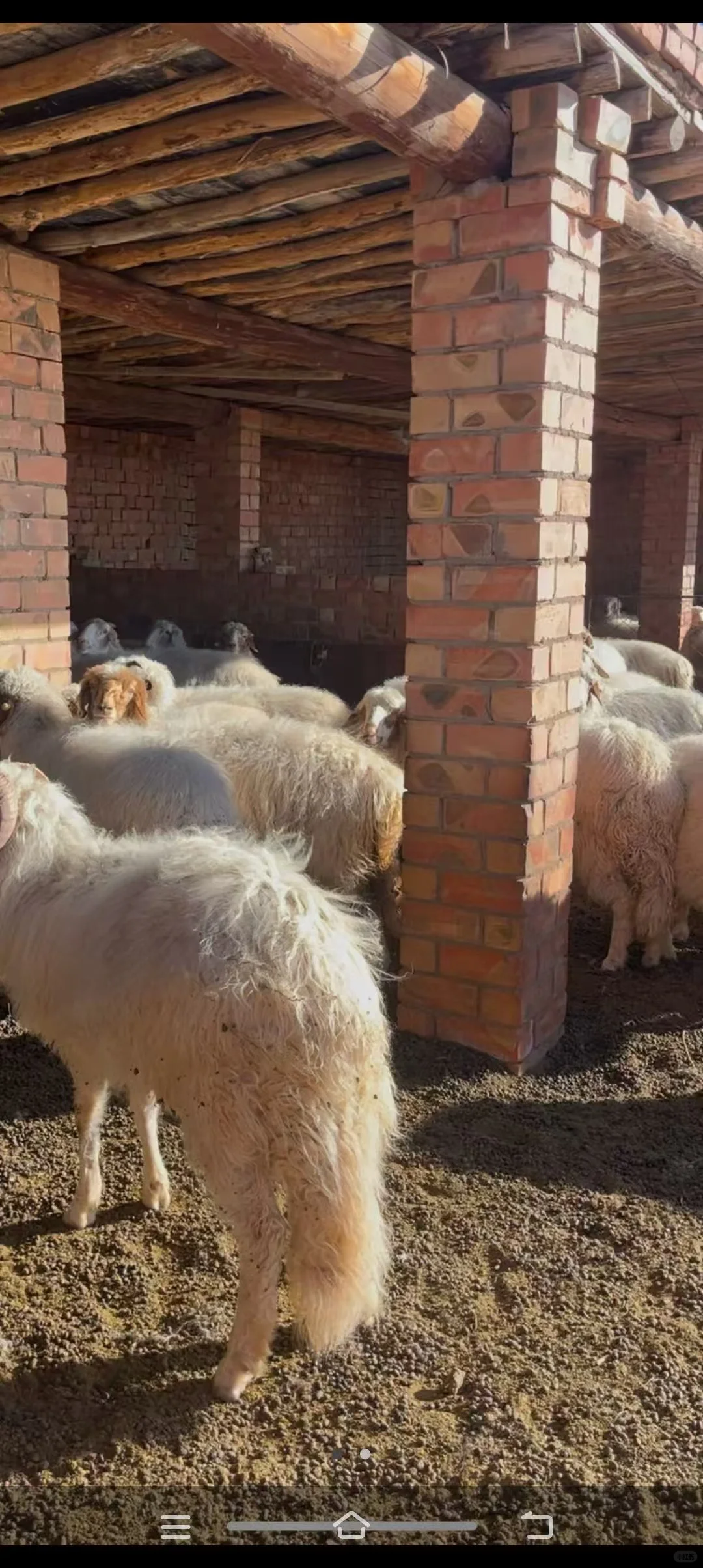 ��ѧ���ؼ���������