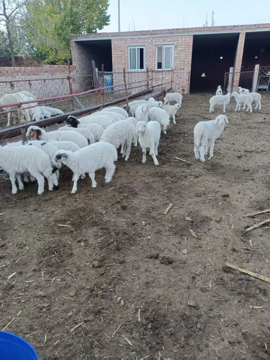 ��ѧ���ؼ���������