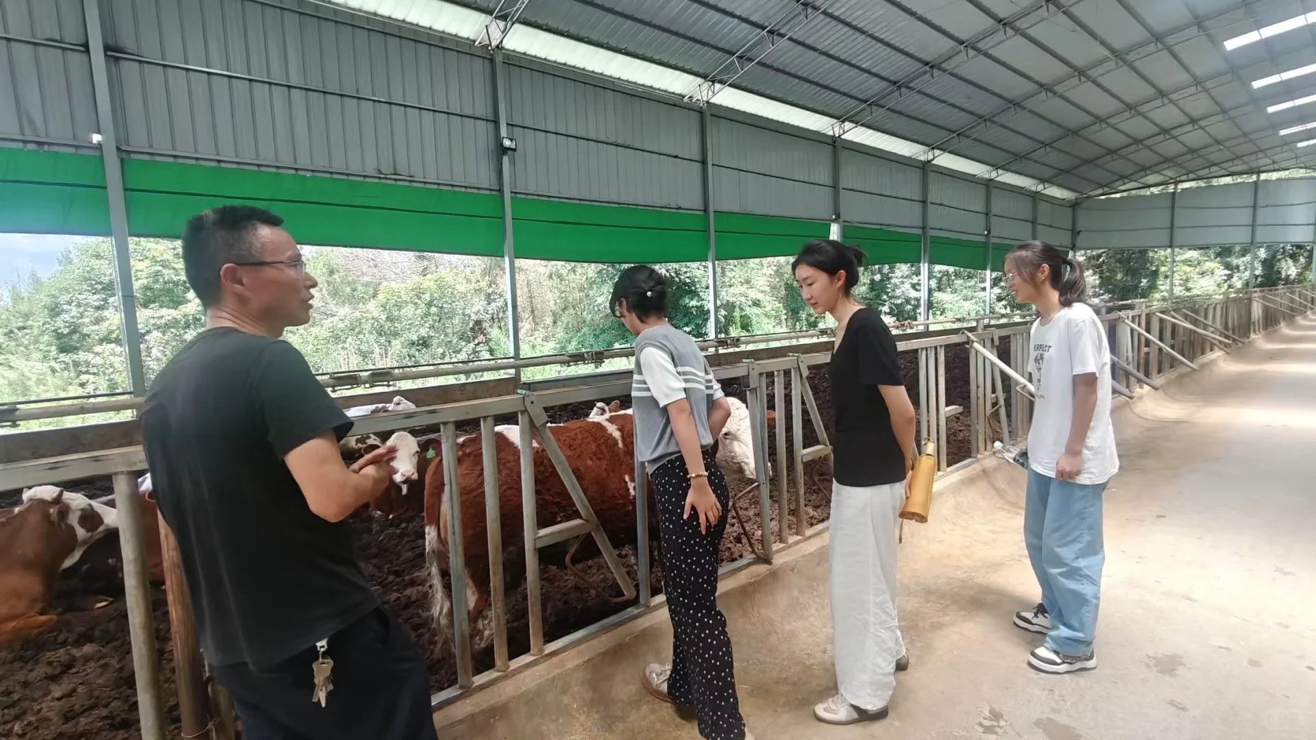 川农实践队|情系三农在通江杨柏镇day11