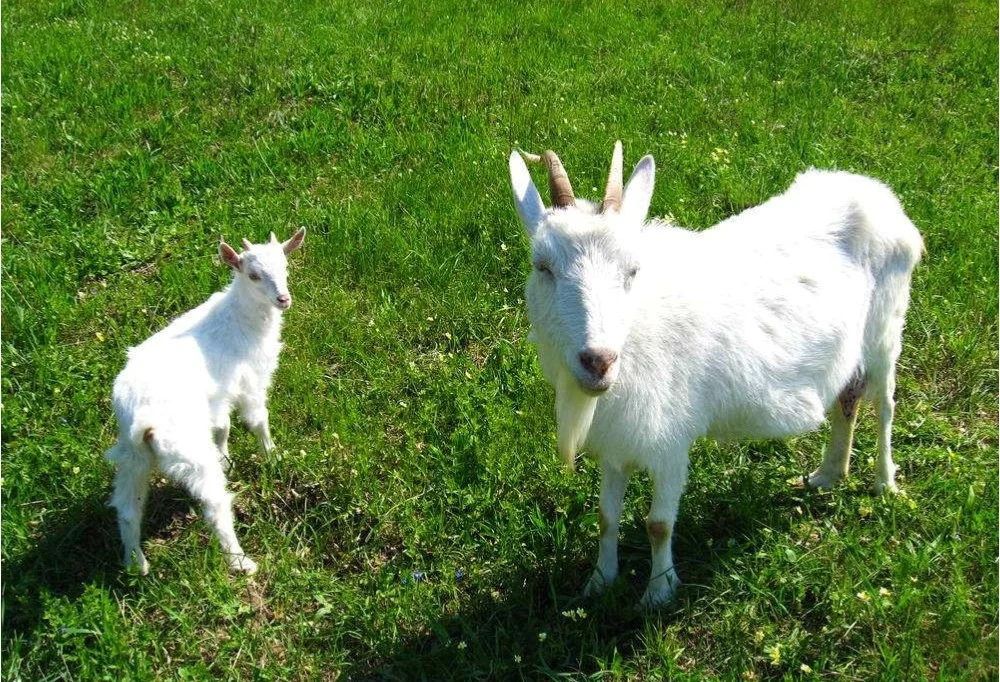 带你了解内蒙古(四)