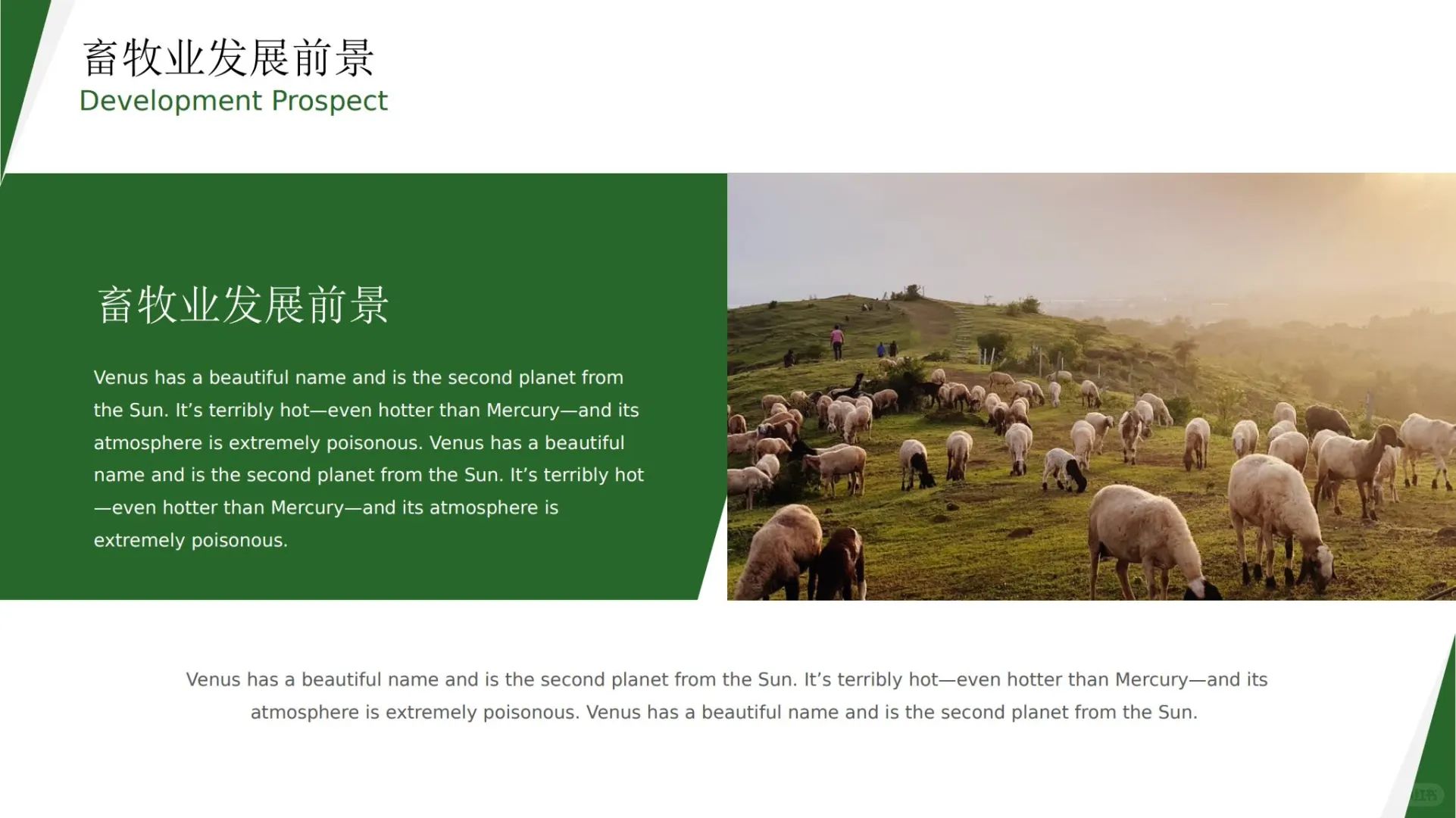 526ũũҵҵţֳ㱨 PPT