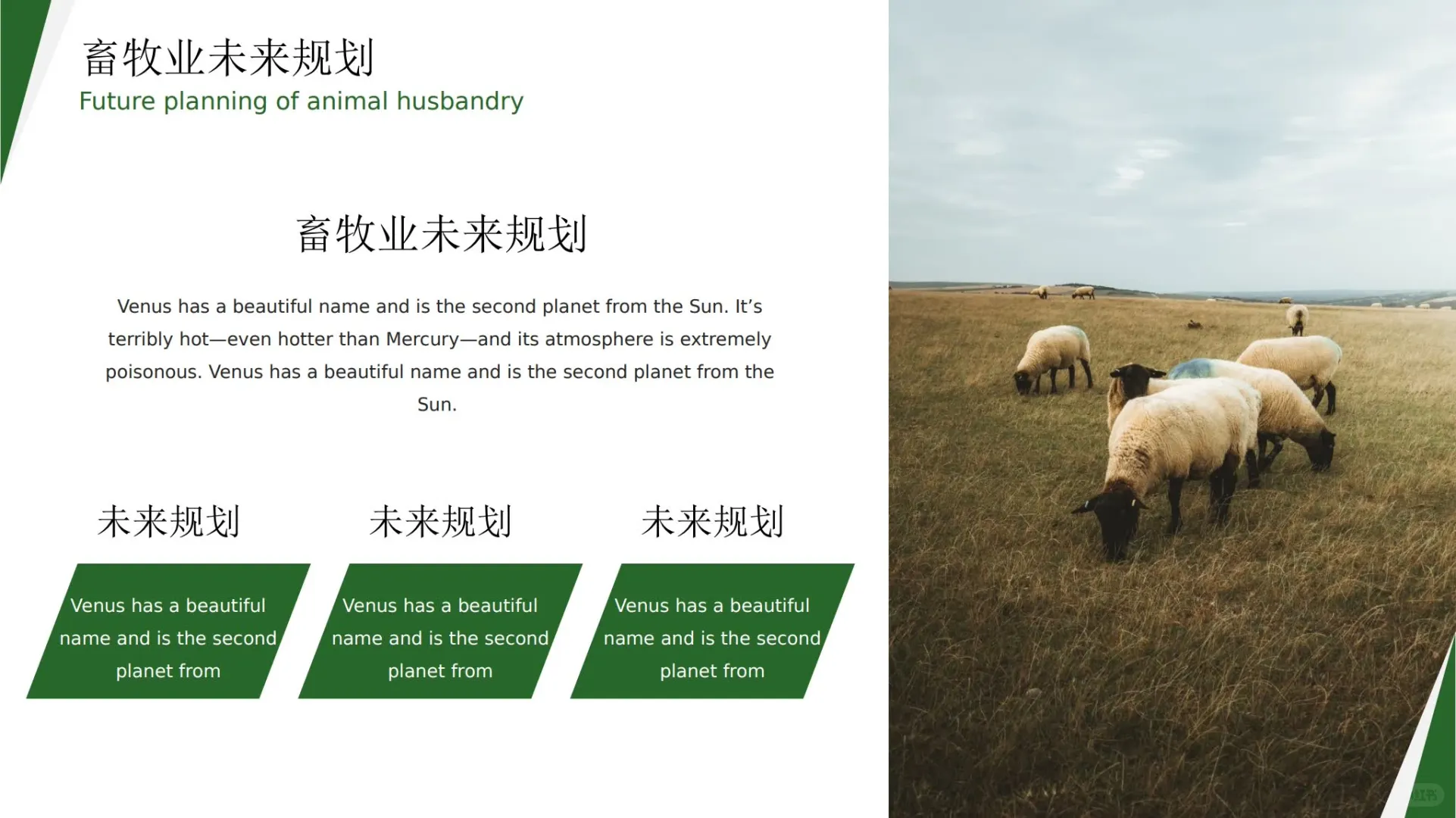 526ũũҵҵţֳ㱨 PPT