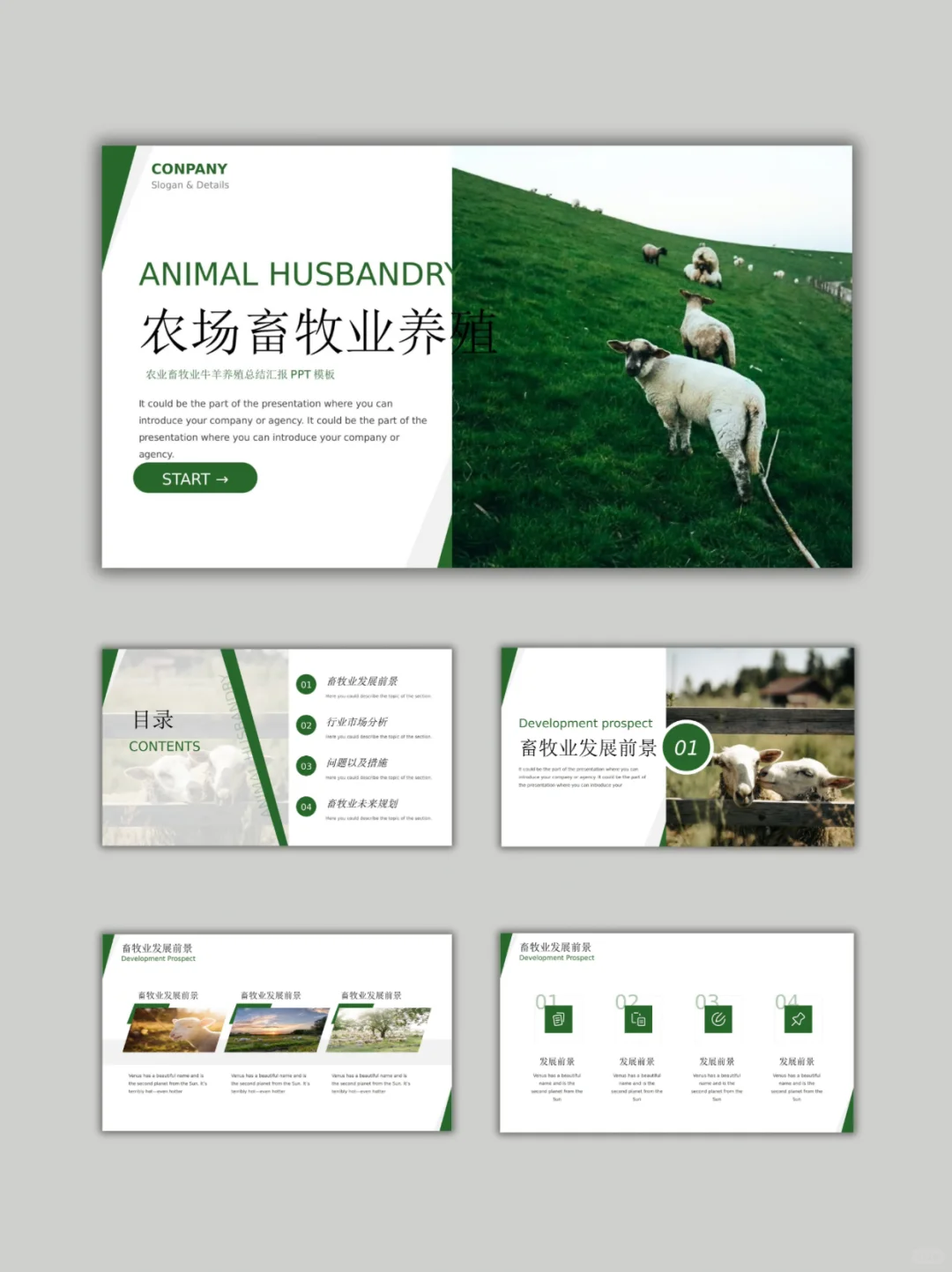 526ũũҵҵţֳ㱨 PPT