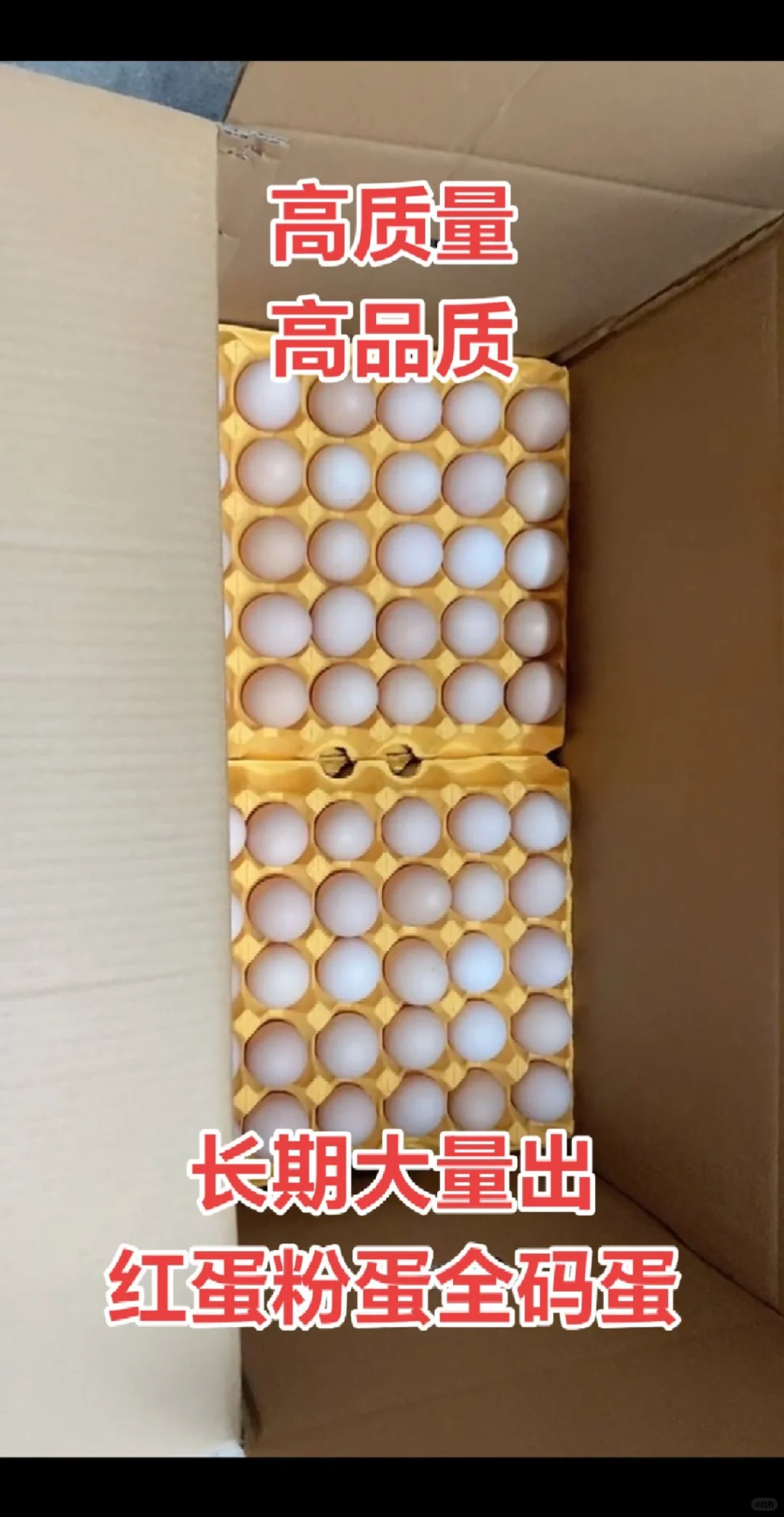 高品质鸡蛋?货源,品质与实惠兼得!