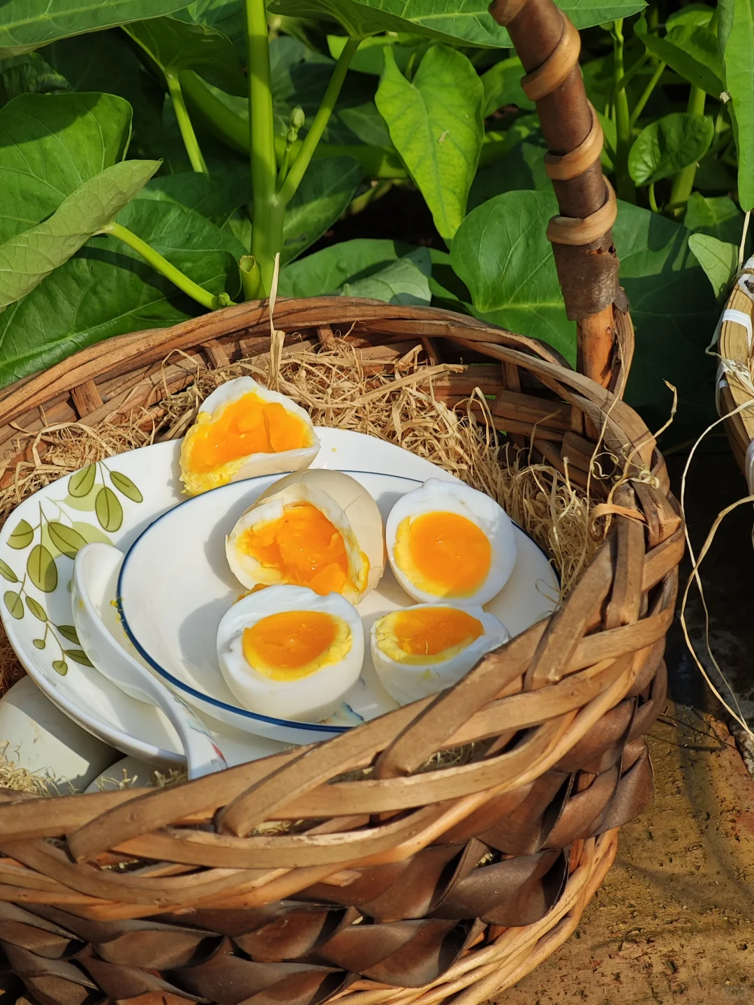 哪个才是“土鸡蛋”,你真的会区分吗?