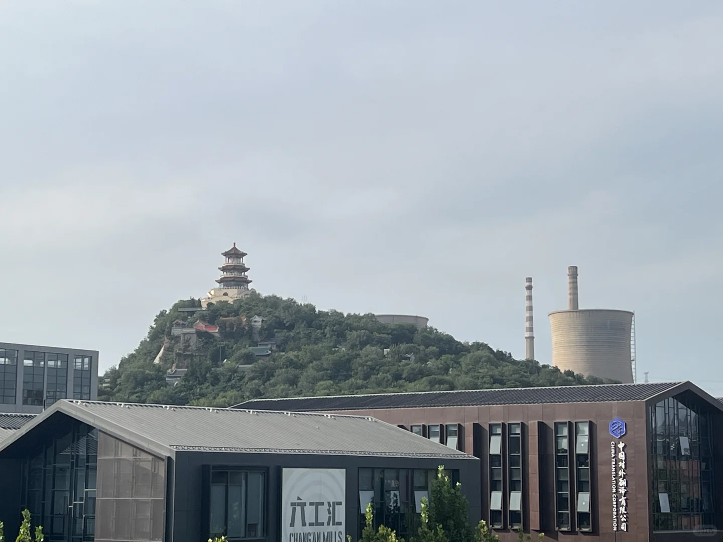 ? 鸡蛋终极指南|一篇看懂怎么买&怎么吃!