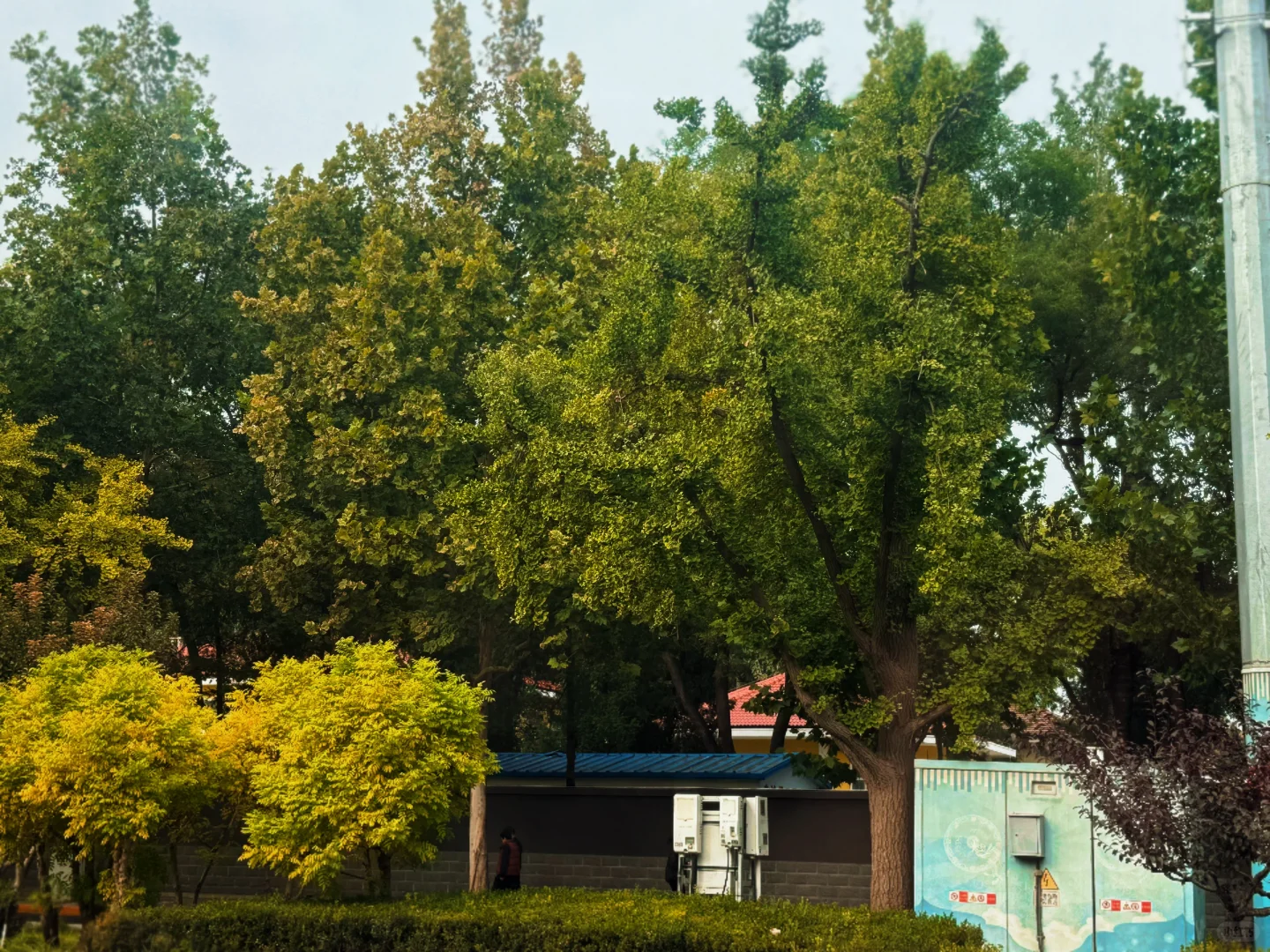 浅聊农产品价格预测模型