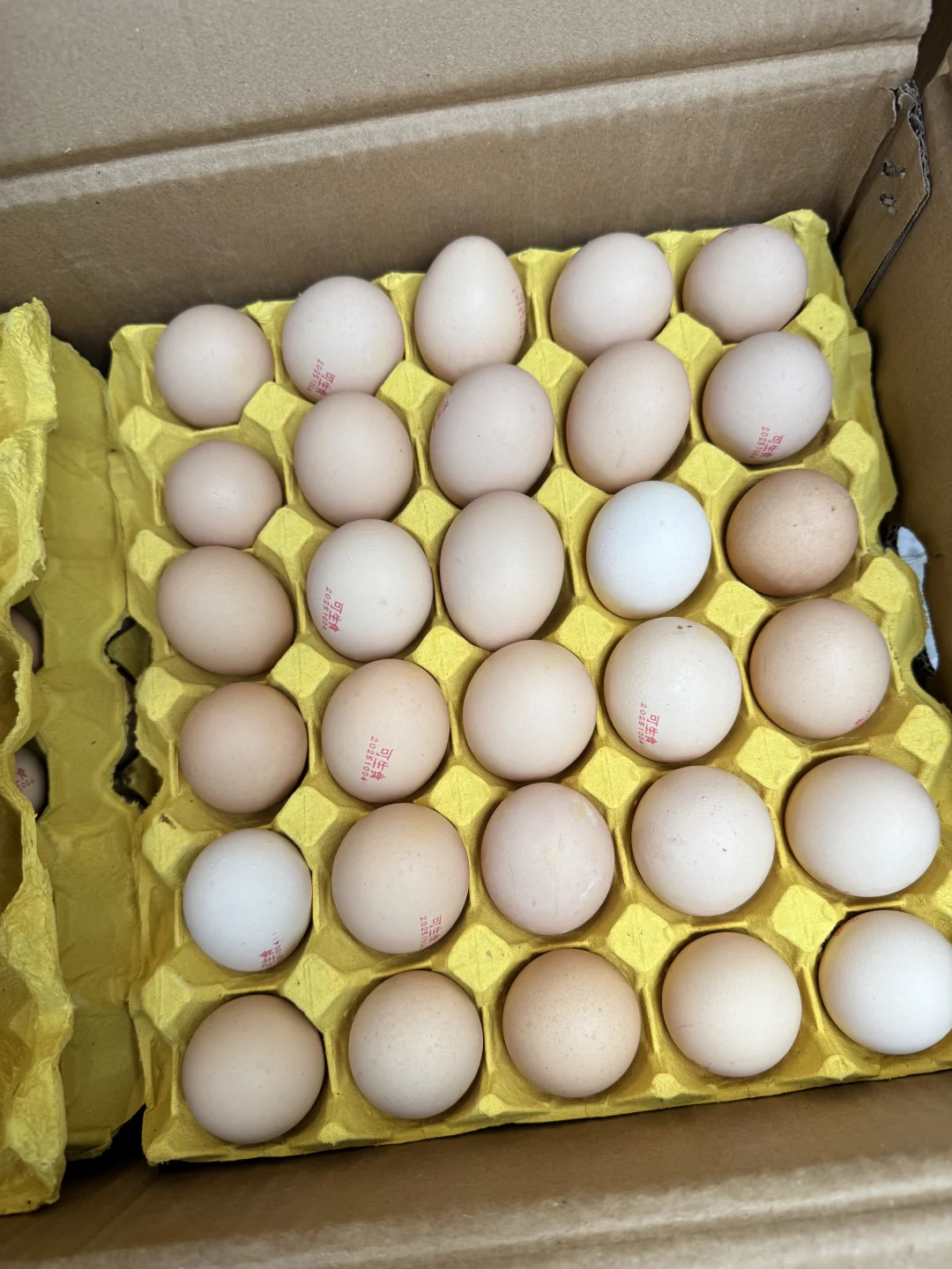 大理物价这么低吗?1块钱买了40个无菌鸡蛋